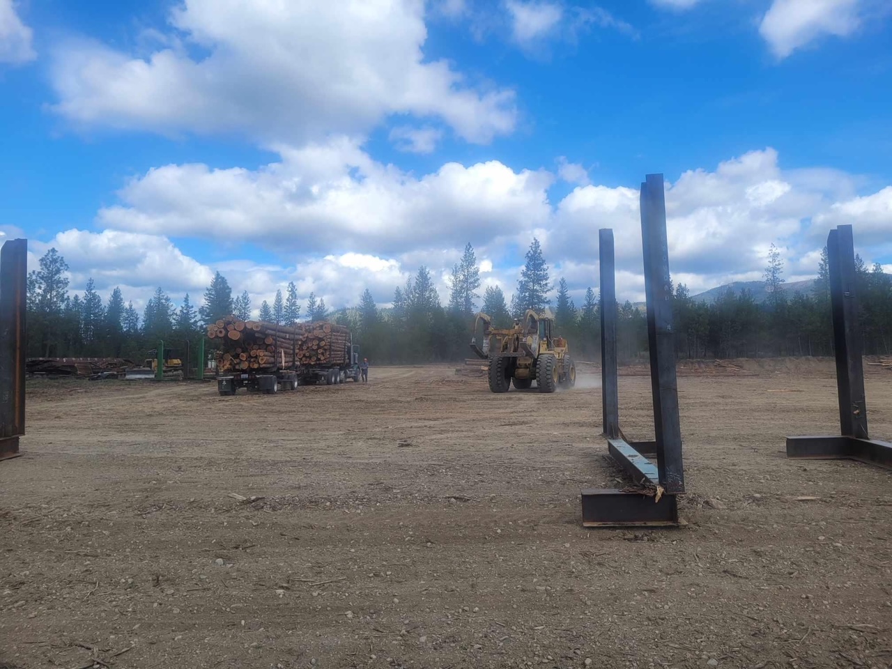 Timber operations at the Blanchard yard