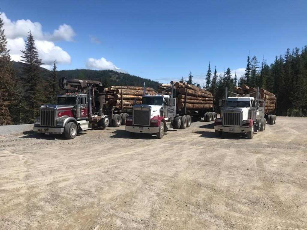 Working area at the Blanchard log yard