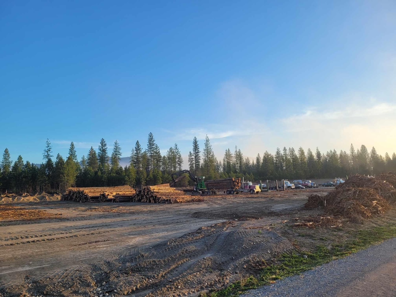 Columbia Cedar Blanchard Log Yard