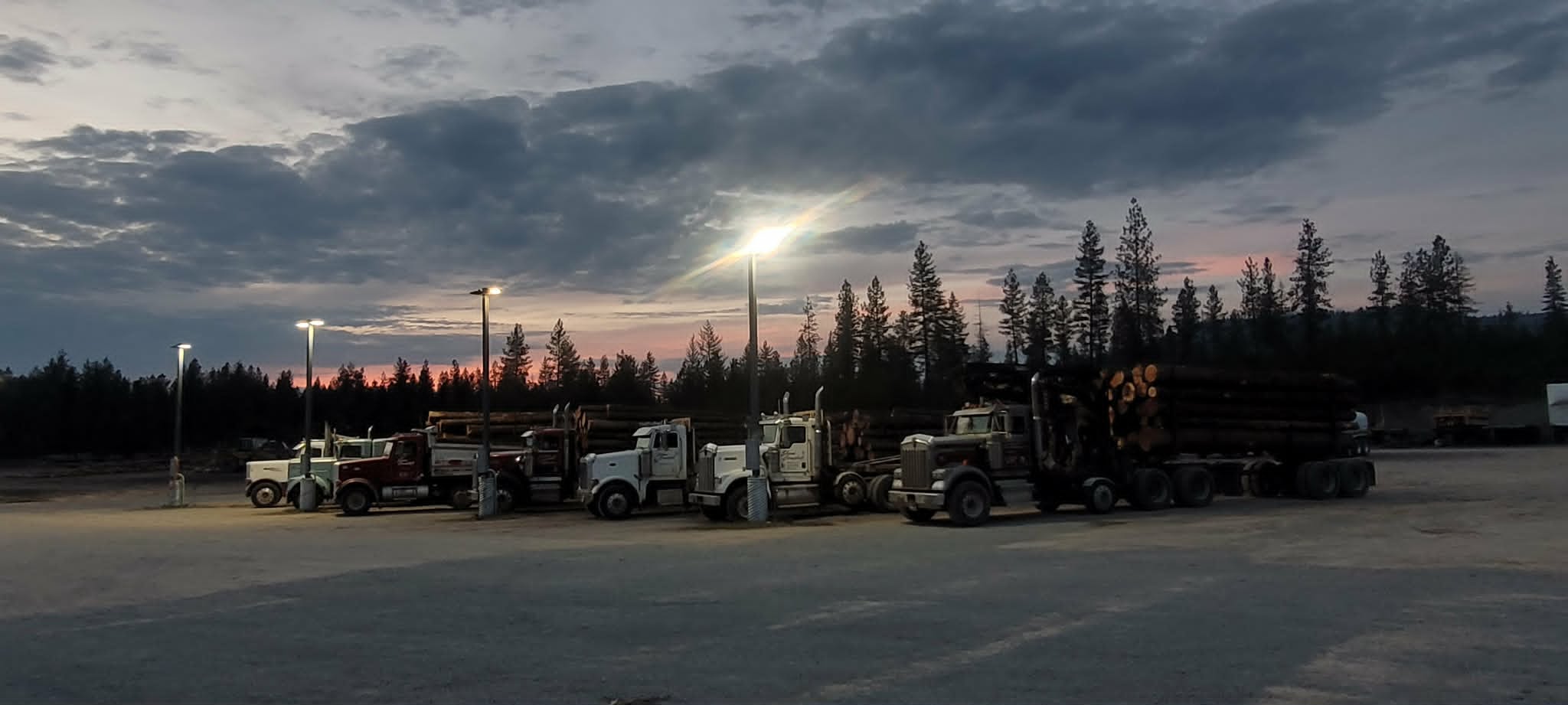 Shane Campbell Trucking log trucks